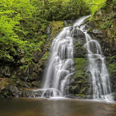 Four Bears Den, Hot Tub, 1089 Of Free Attraction Tickets For Each Paid Day, Dollywood And More Gatlinburg Exterior foto