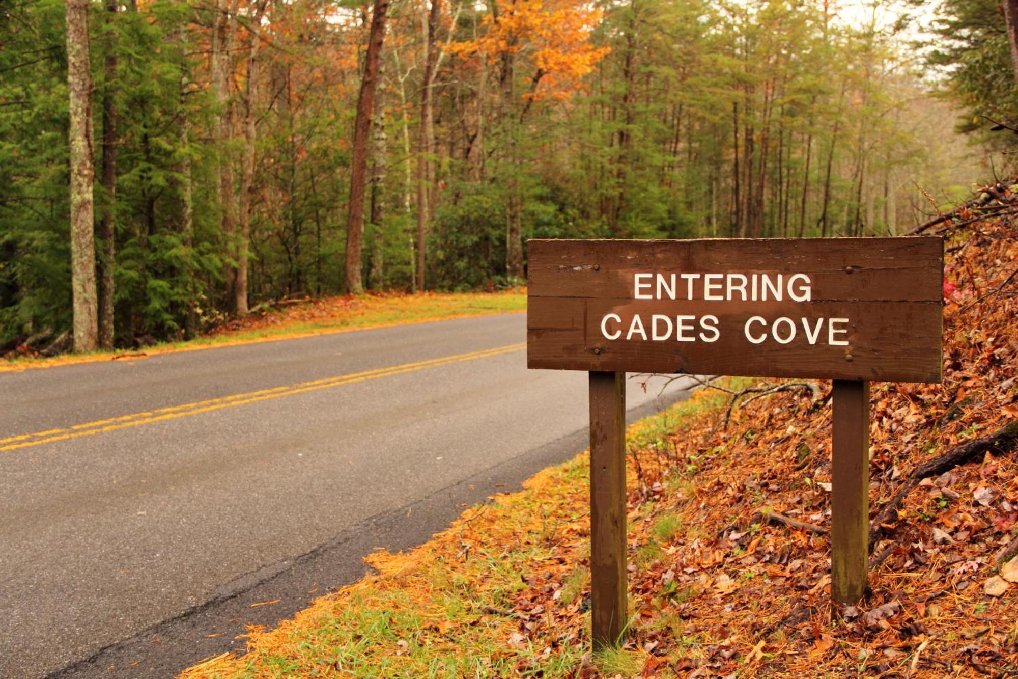Four Bears Den, Hot Tub, 1089 Of Free Attraction Tickets For Each Paid Day, Dollywood And More Gatlinburg Exterior foto