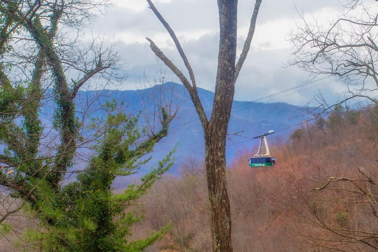 Four Bears Den, Hot Tub, 1089 Of Free Attraction Tickets For Each Paid Day, Dollywood And More Gatlinburg Exterior foto